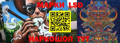 СК Обнинск