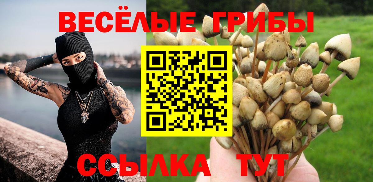 Соликамск  Галлюциногенные грибы ЛСД  Галлюциногенные грибы GOLDEN TEACHER  Вход с VPN 